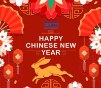  Best Wishes in the NEW YEAR of Rabbit
